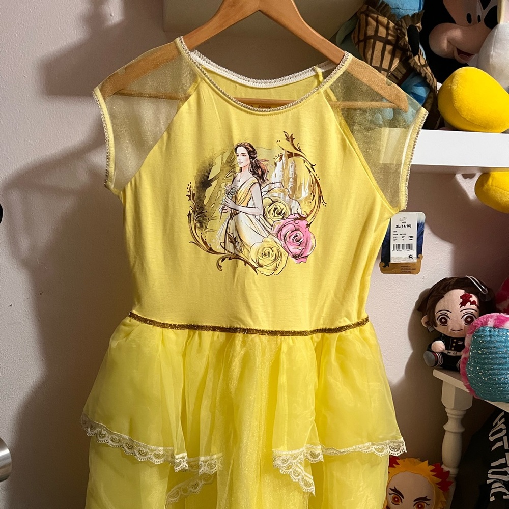 Beauty and the Beast Dress